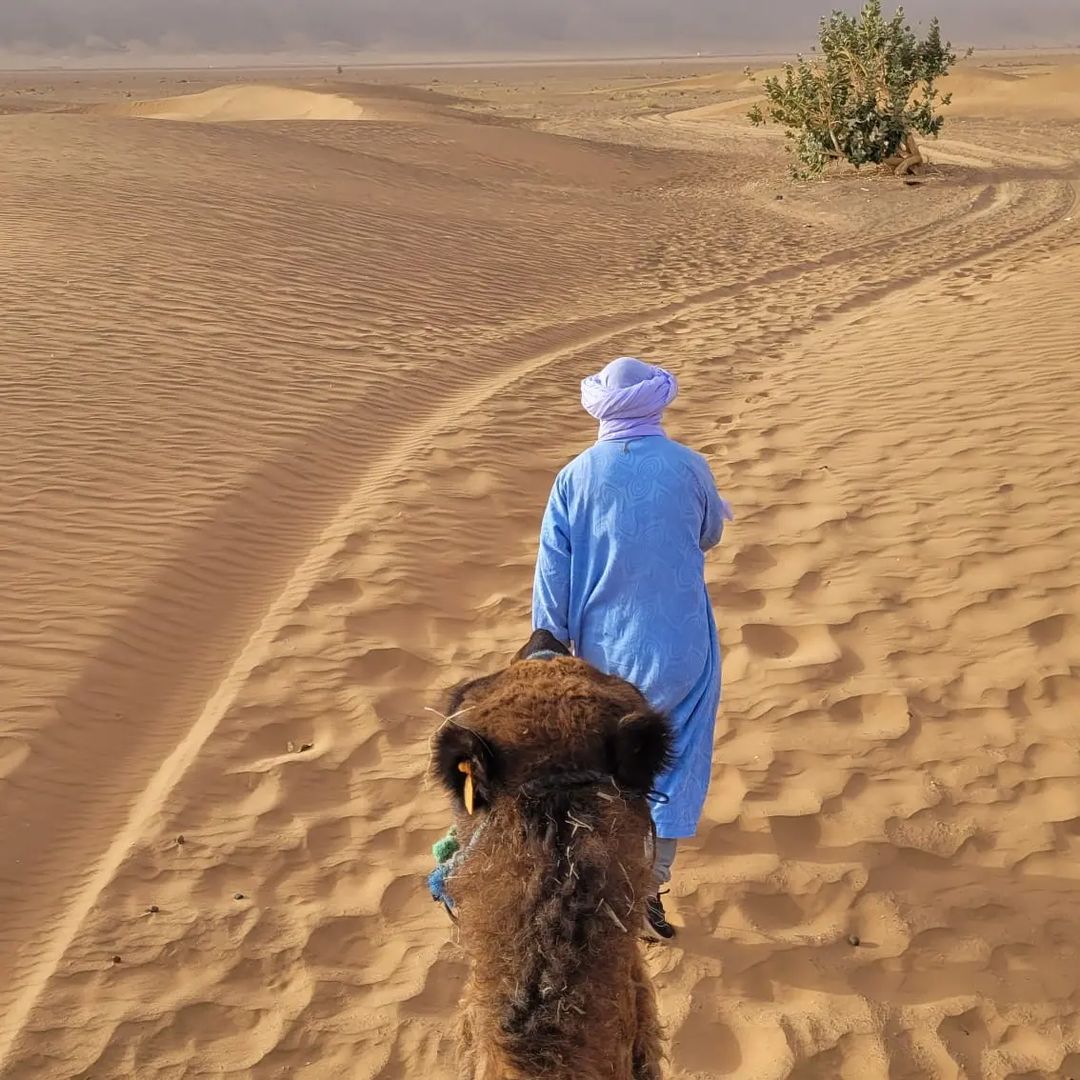 2 Days Desert Tour From Marrakech to Zagora