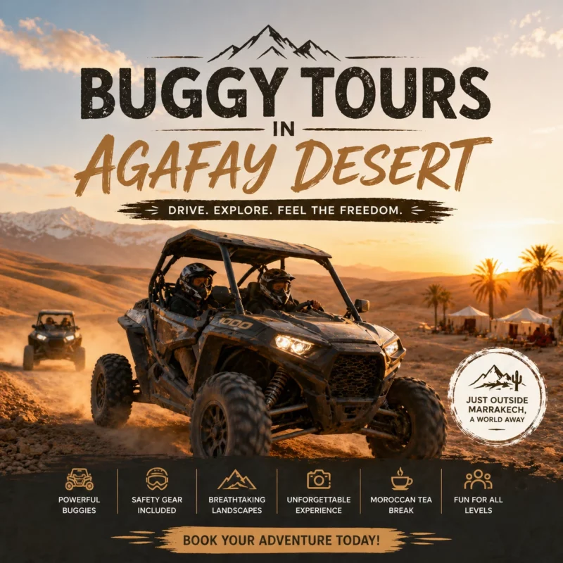 Buggy Tours in Agafay Desert